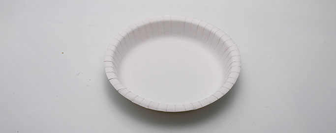 Paper plate samples